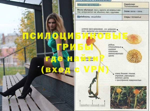 гашик Армянск