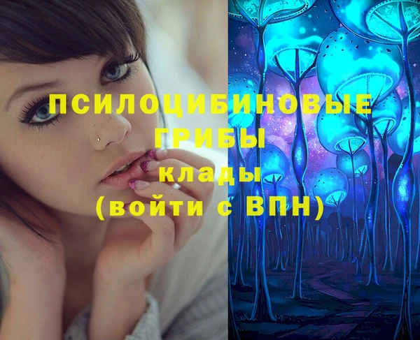 Альфа ПВП Аркадак